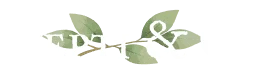 Pepti   Co 1